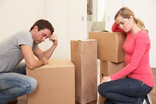Eco-friendly packing boxes suitable for Camden storage and relocation